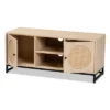 Ardon Bohemian Wood And Metal 2 Door Natural Rattan TV Stand For TVs Up To 40" Light Brown/Black - Baxton Studio
