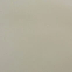 4pc Rae Plastic Stackable Dining Chair Set - Baxton Studio -Baxton Studio GUEST 8ab87bac 3911 49c7 87d7 dc24c5c4ad4d