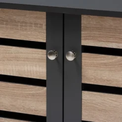 Gisela 2 - Door Shoe Storage Cabinet Dark Gray - Baxton Studio -Baxton Studio GUEST ecf57265 5edd 4772 827a 69b4baf0f673