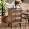 Baden Wood With Rattan 3 Drawer Nightstand Walnut Brown - Baxton Studio
